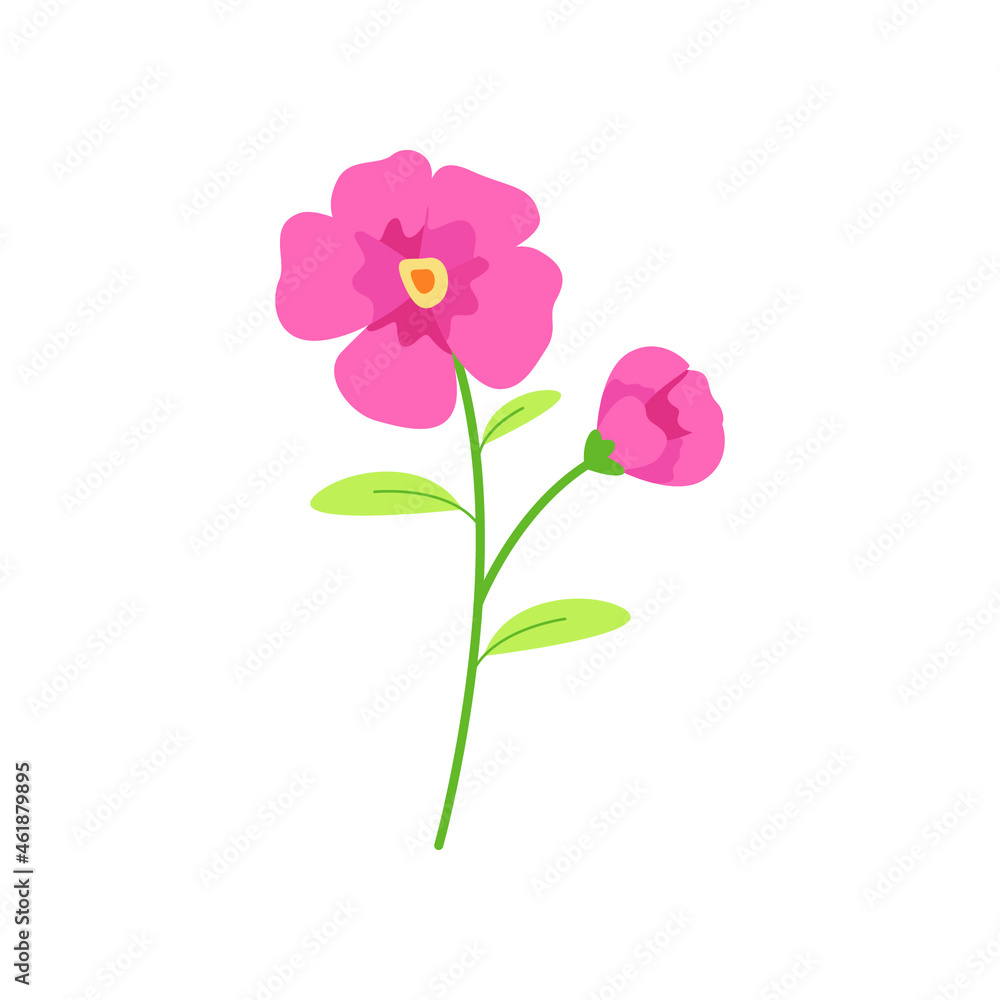 hibiscus flower vector illustration design on white background