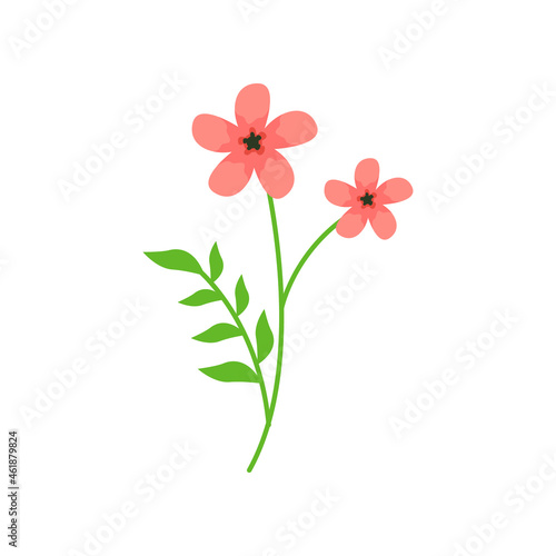 blooming flower vector illustration design on white background © Fauz Design