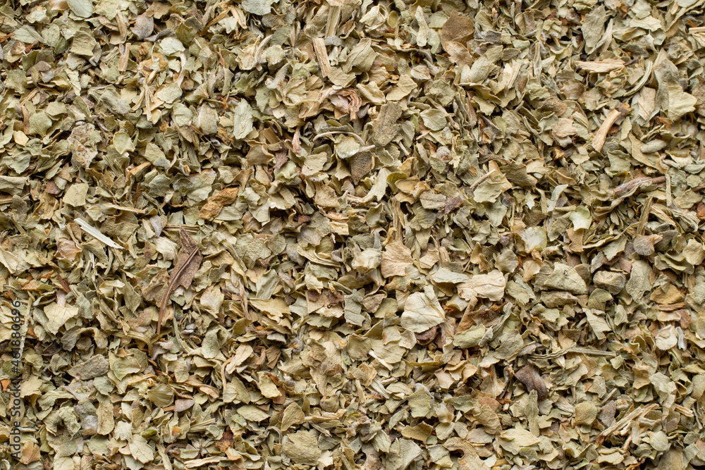 Flat lay detail view of parsley herb Flat lay detail view of parsley herb