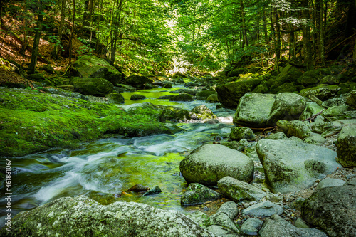 Wolfensteiner Ohe in der Buchberger Leite im Bayerischen Wald