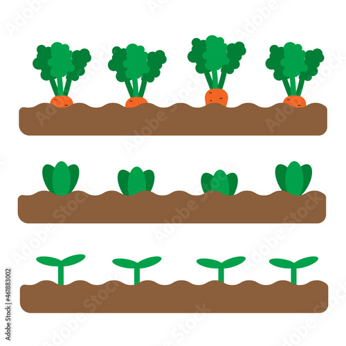 Set of 3 garden beds with different growing vegetables and plants. Flat spring garden illustration. Gardening icons. Vector illustration in cartoon flat style. Urban farming and agriculture concept. 