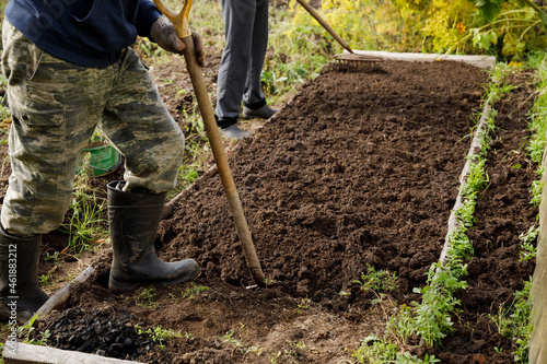 digging in the garden