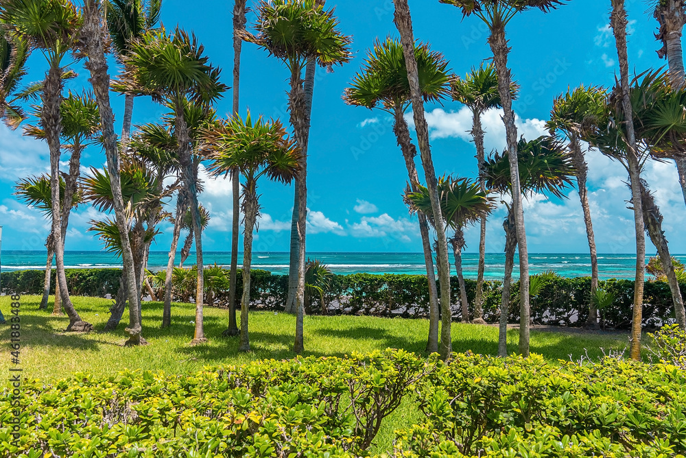 Naklejka premium Scenic view of coconut and palm trees in garden in front of beautiful seascape against cloudy sky. Public park in front of scenic ocean