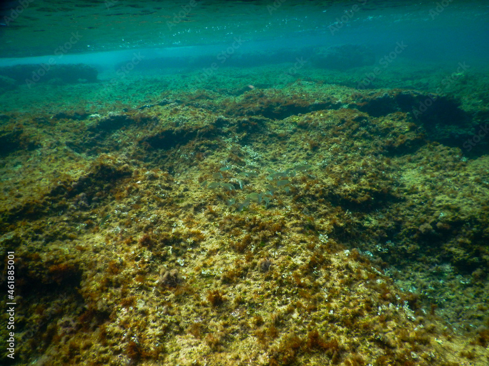 Fototapeta premium san vito lo capo coast