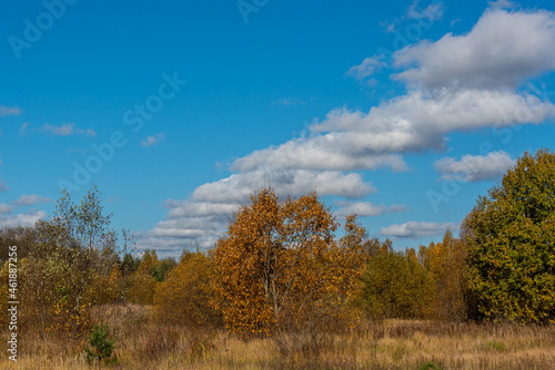 Colorful autumn landscape with forest, field, river and haystacks in central Russia.
