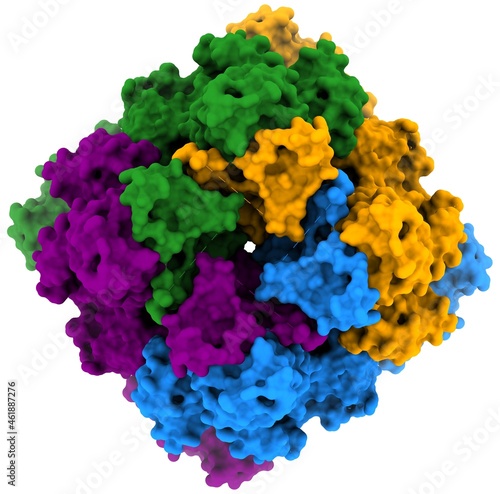 Transient receptor potential cation channel subfamily M (melastatin) member 8 (TRPM8)