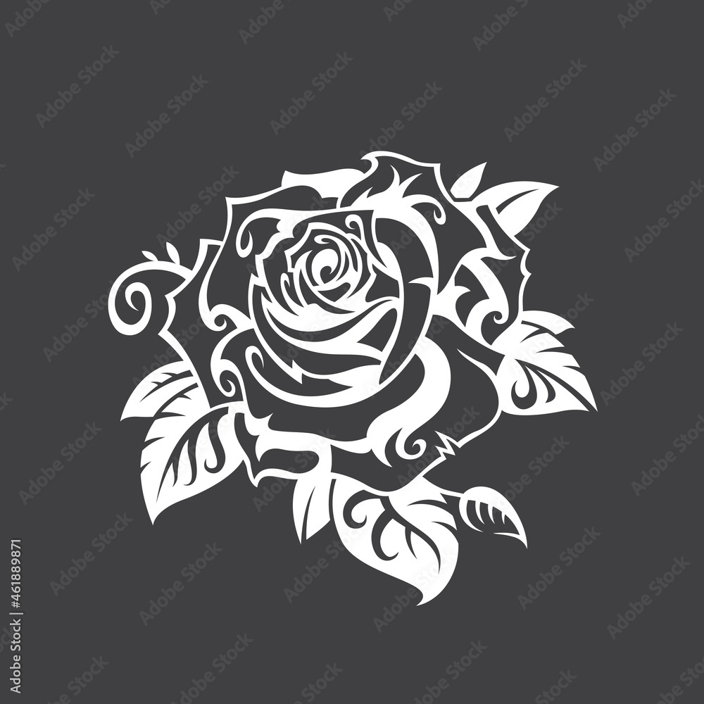 image of white rose bud isolated on black background image of white rose bud isolated on black background