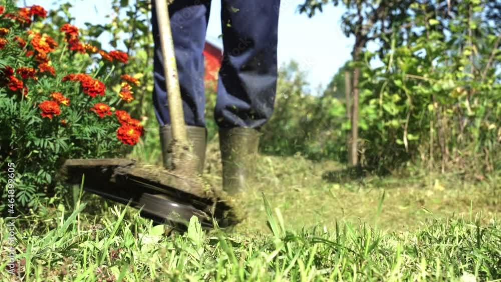 A man mows the grass in the summer on the field with a gasoline trimmer, background, close-up A man mows the grass in the summer on the field with a gasoline trimmer, background, close-up