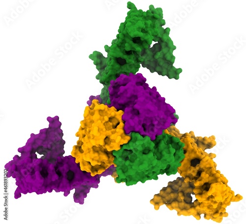 Piezo type mechanosensitive ion channel component 1 (PIEZO1)