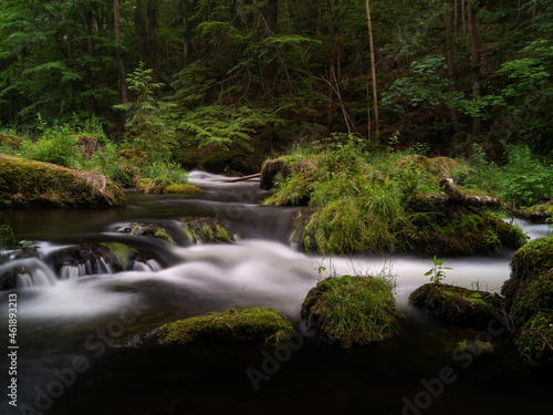 smooth motion of wild water in a river in summer with rocks and stones in the beautiful nature of a forest