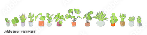 A set of indoor plants. The interior of the house. Houseplants. Vector illustration.