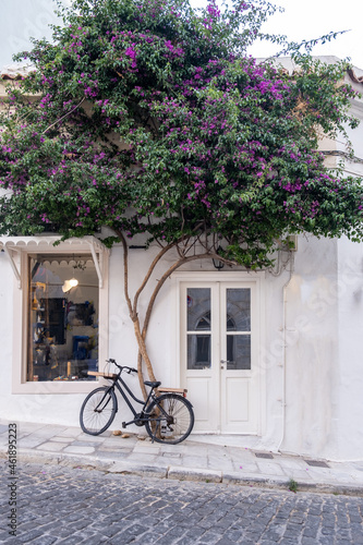 Bougainvillea with purple flowers in front of shop at Hermoupolis Syros island Greece. Vertical © Rawf8