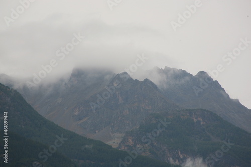 Cimes sous les premières neiges 
