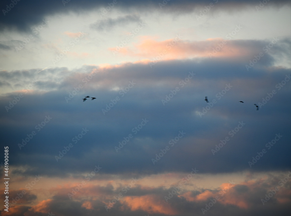 Fototapeta premium ciel un soir d'octobre