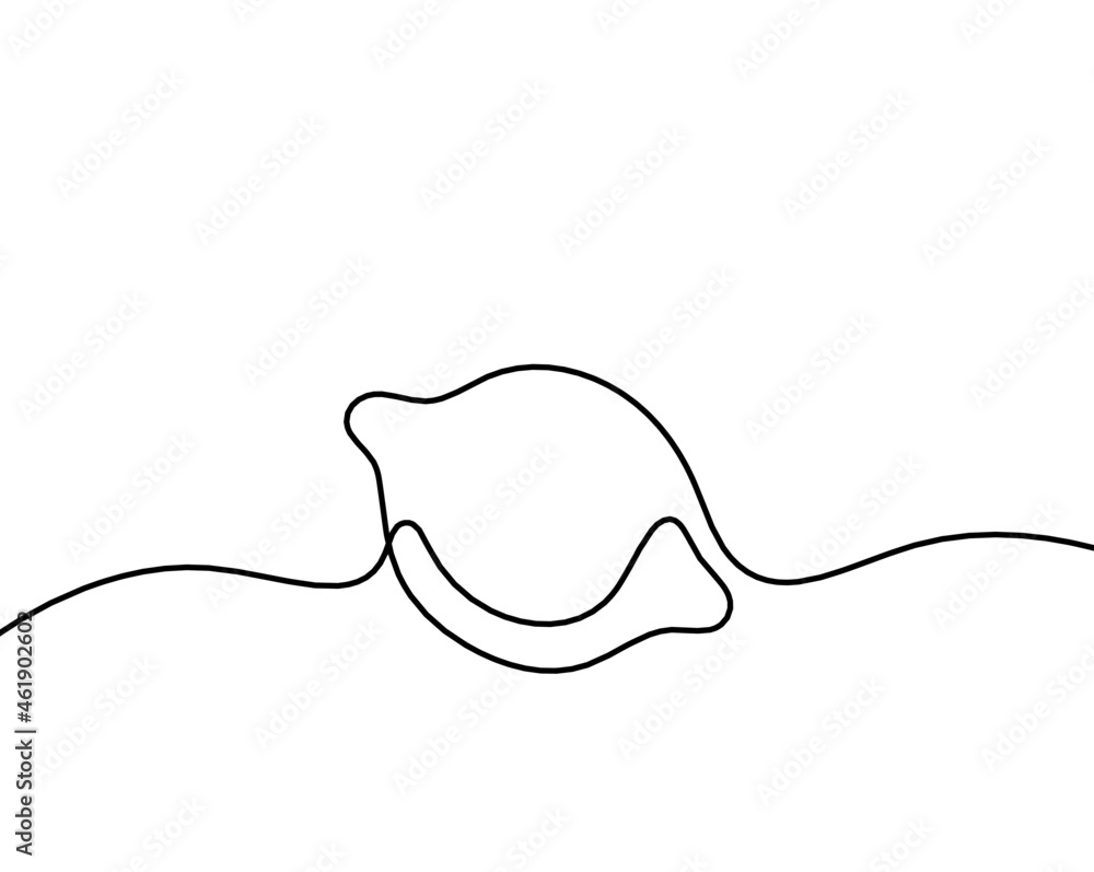 Drawing line lemon on the white background. Vector Drawing line lemon on the white background. Vector