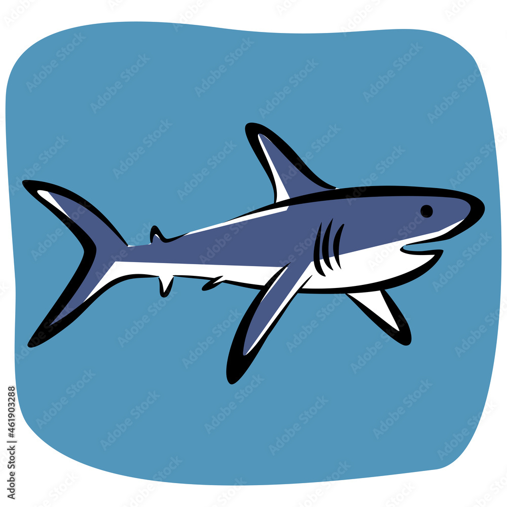 Shark drawing vector