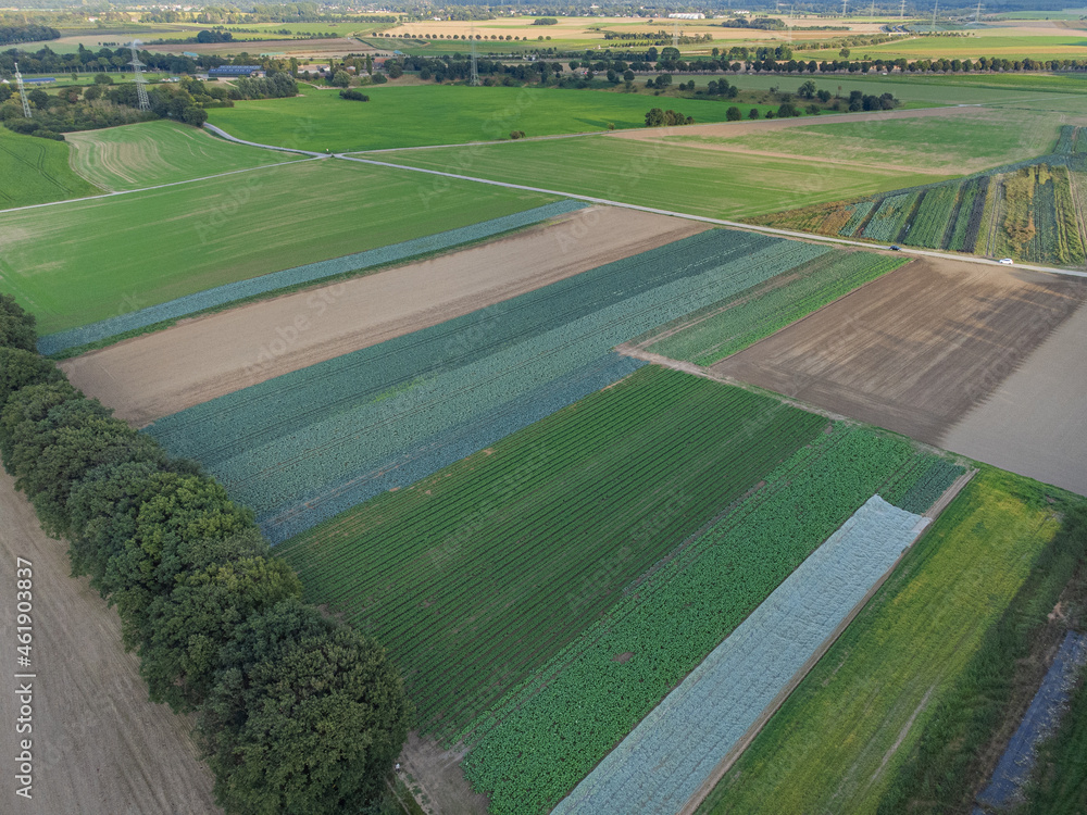 aerial photo of farming fields and trees