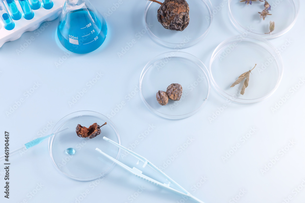 petri dishes with research products, pipette and tweezers on a blue background petri dishes with research products, pipette and tweezers on a blue background