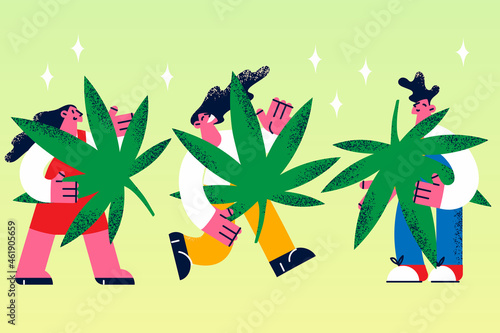 Growing marijuana grass legalization concept