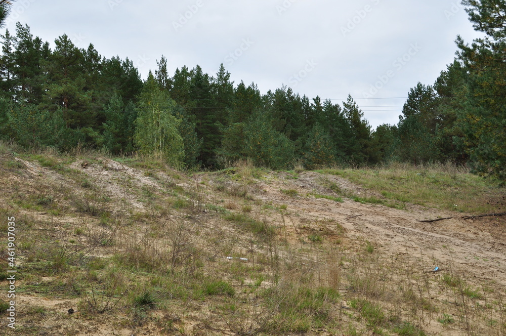 Panoramic view of the sandy coast. Green trees on the high bank.