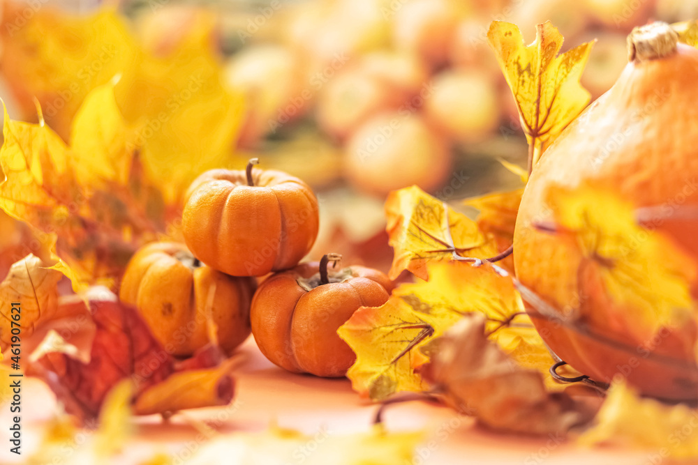 Autumn still life . Fallen maple leaves and orange pumpkins. Autumn harvest. Autumn still life . Fallen maple leaves and orange pumpkins. Autumn harvest.