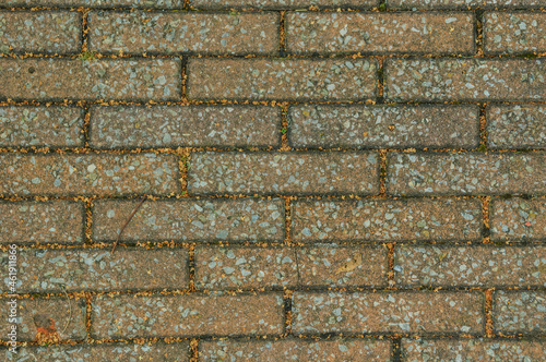 Wallpaper Mural Paved footpath photographed from above with little traces of trees in the fall in between Torontodigital.ca