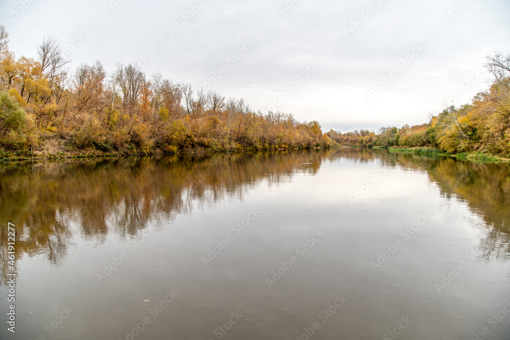 autumn forest over the river