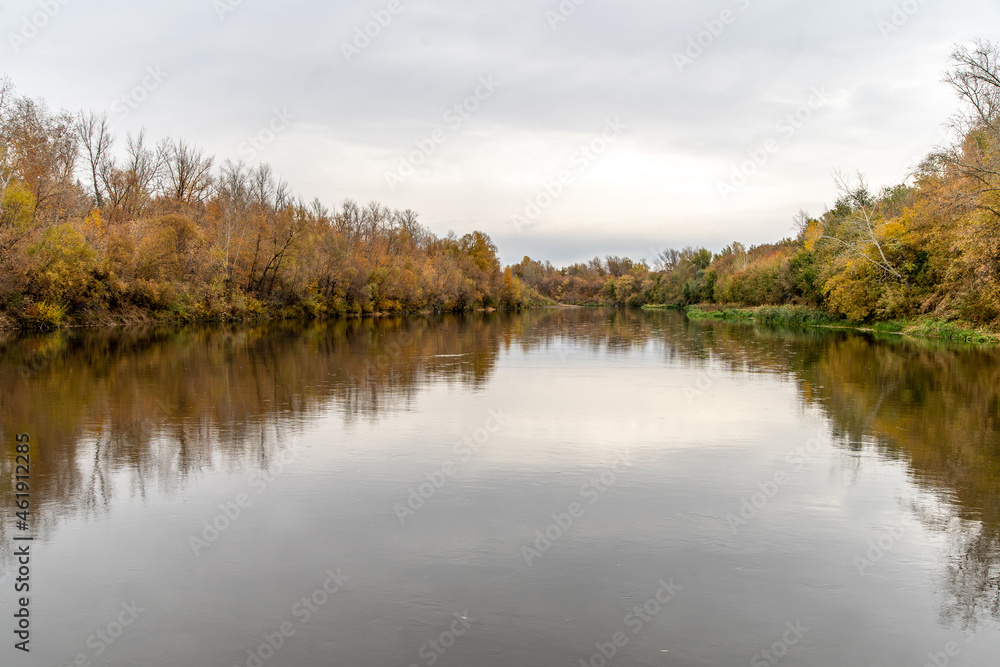 autumn forest over the river