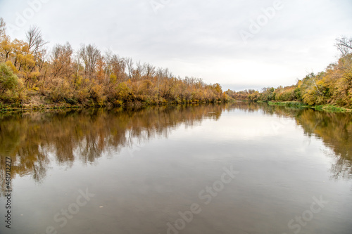 autumn forest over the river