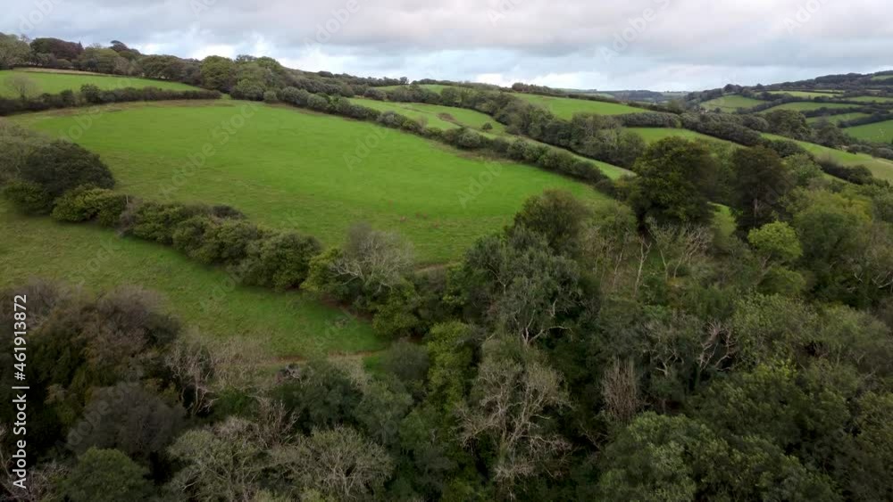 Aerial Drone Over Deer in Fields with Trees and Sky Aerial Drone Over Deer in Fields with Trees and Sky