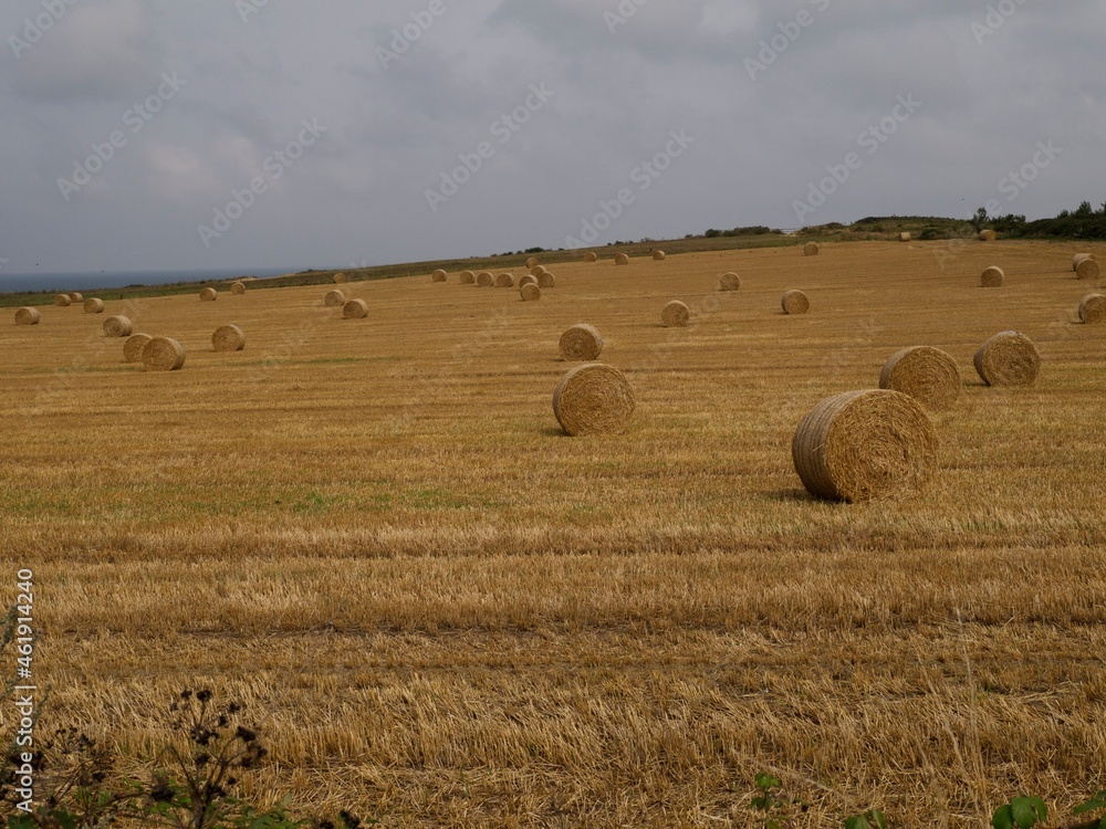 hay bales