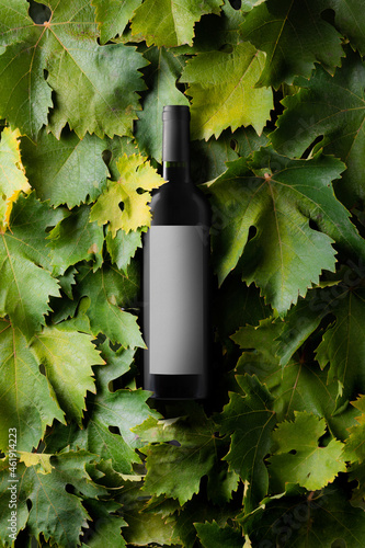 bottiglia di vino rosso su sfondo di foglie mockup etichetta vuota photo