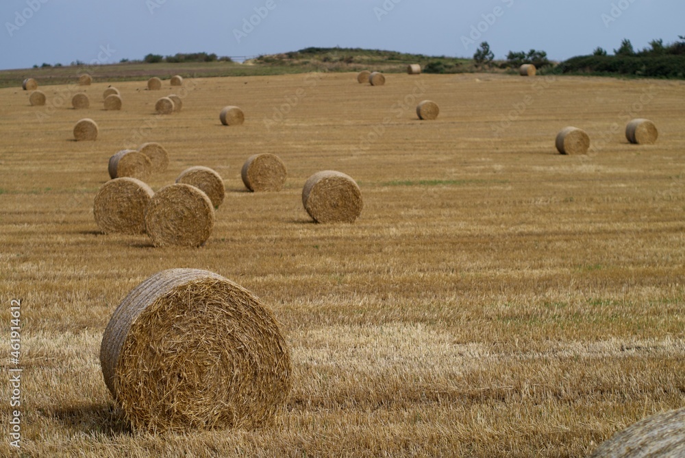 hay bales