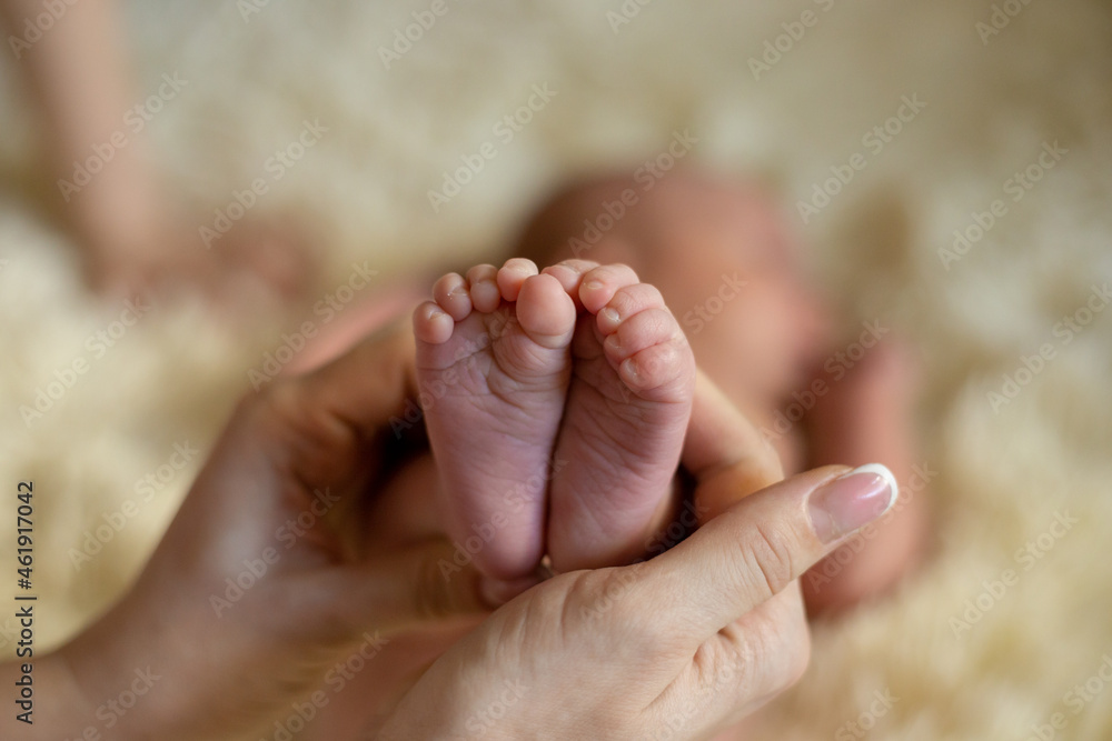 hands hold the legs of the newborn hands hold the legs of the newborn