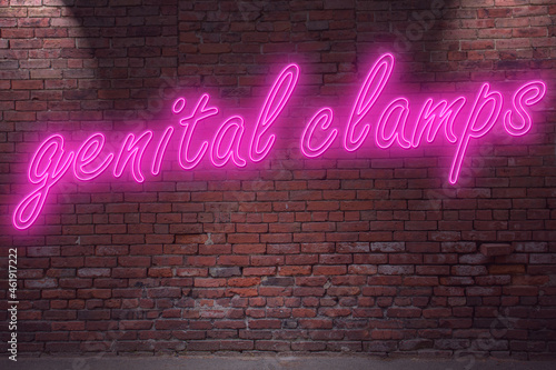 Neon BDSM genital clamps lettering on Brick Wall at night
