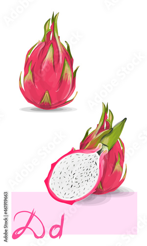 Dragon fruit vector art. Exotic fruits, tropical fruit, pitaya. Seasonal fruits illustration. Pink and green colors. Fresh and juicy sliced pitahaya