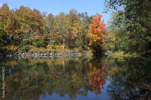 Reflection of trees on river in fall