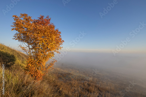 Autumn landscape in the early morning. Fog-covered expanses through which the first rays of the rising sun pass. Trees and hills in the fog. Dawn on a cold autumn morning.