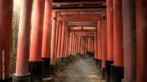 Konstfotografi Beautiful landscape sunlight with red tori gates at Fushimi Inari Taisha shrine