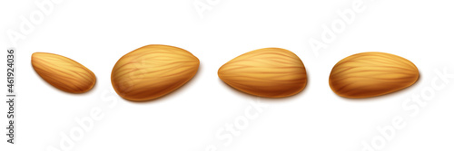 3d realistic vector icon.  Isolated on white background. Almond nut set in different shapes.