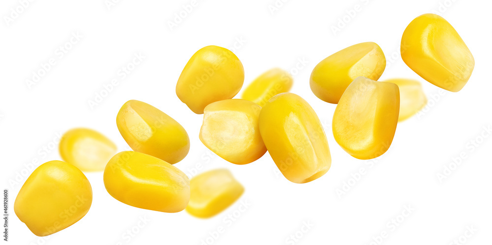 Flying corn seeds, isolated on white Flying corn seeds, isolated on white