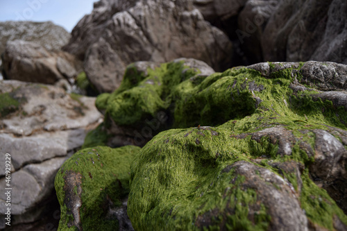 Paisaje de playa con roca y musgo en Asturias