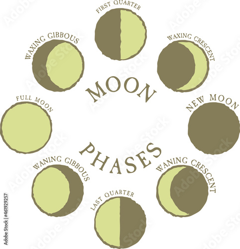 Moon phases with names