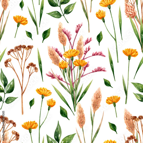 Pattern with field herbs in watercolor © a_ptichkina