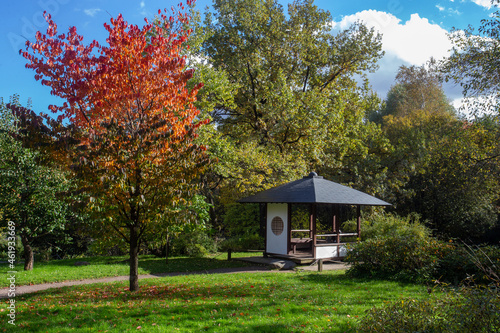 Photography Amazing japanese garden in Moscow in autumn