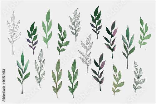 A large set of watercolor leaves for decoration, decoupage. Design of postcards in autumn colors. To create patterns. Vector illustration.