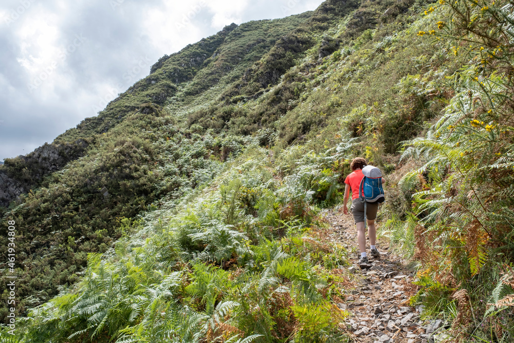 adult woman on her back with a backpack over her shoulder walks up a path along a mountain cliff, surrounded by ferns and vegetation