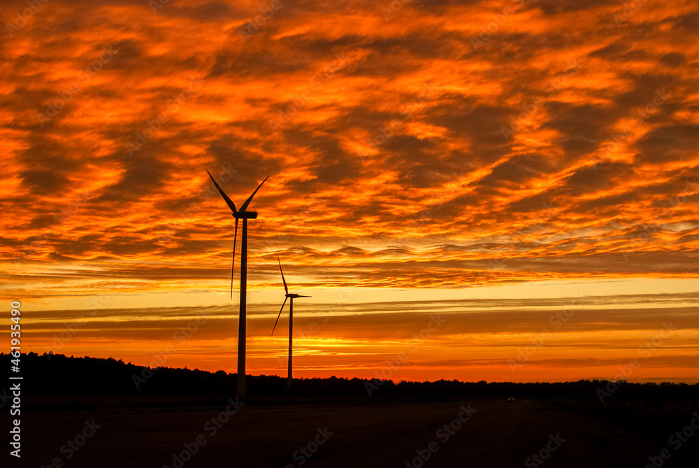 Obraz premium Electric wind turbines farm sunset