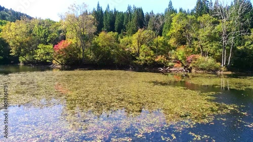 秋の鶴巻池 photo