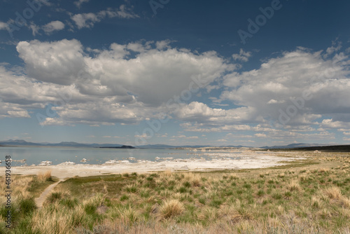 The white salty Mono Lake on a partly cloudy day, panoramic view, featuring the vegetaion and salty shore photo
